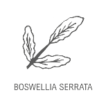 boswellia serrata fitomed